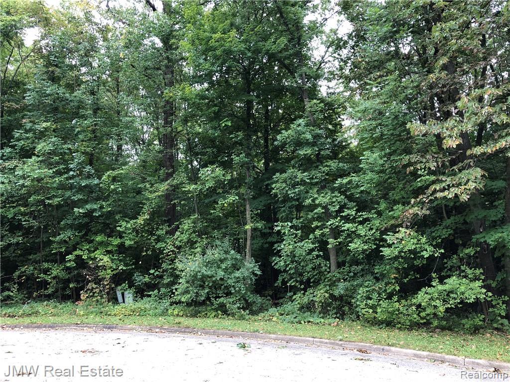 0 Beech Tree Lane Lot 6 - Photo 1