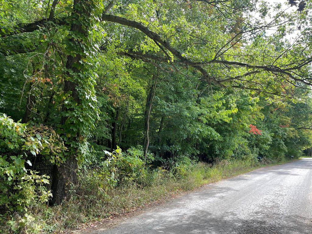 Hamilton Street - Photo 1