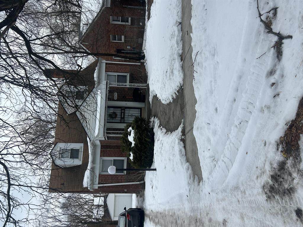 20178 Appoline Street - Photo 1