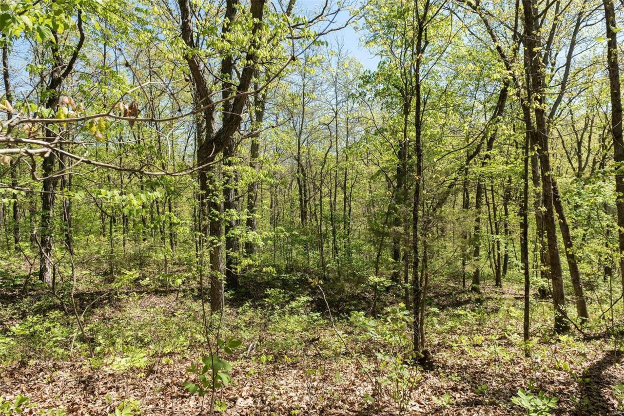 3544 Red Oak Drive - Photo 1 3544 Red Oak Drive - Photo 1