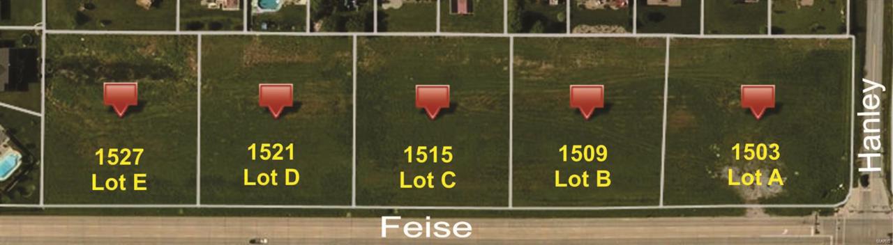 1515 Feise Road - Photo 1