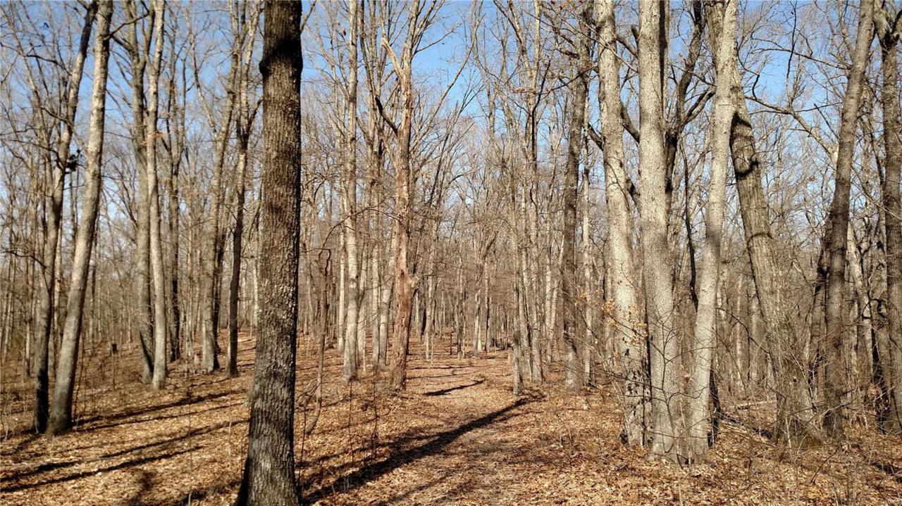 0 Tall Oaks Road - Photo 1