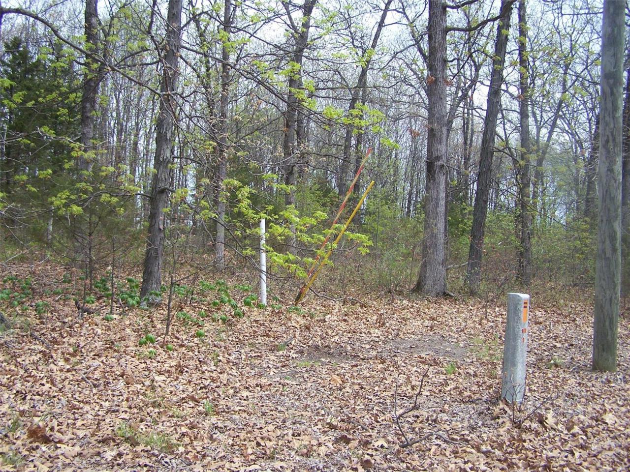 0 Monroe Road 567 - Photo 1