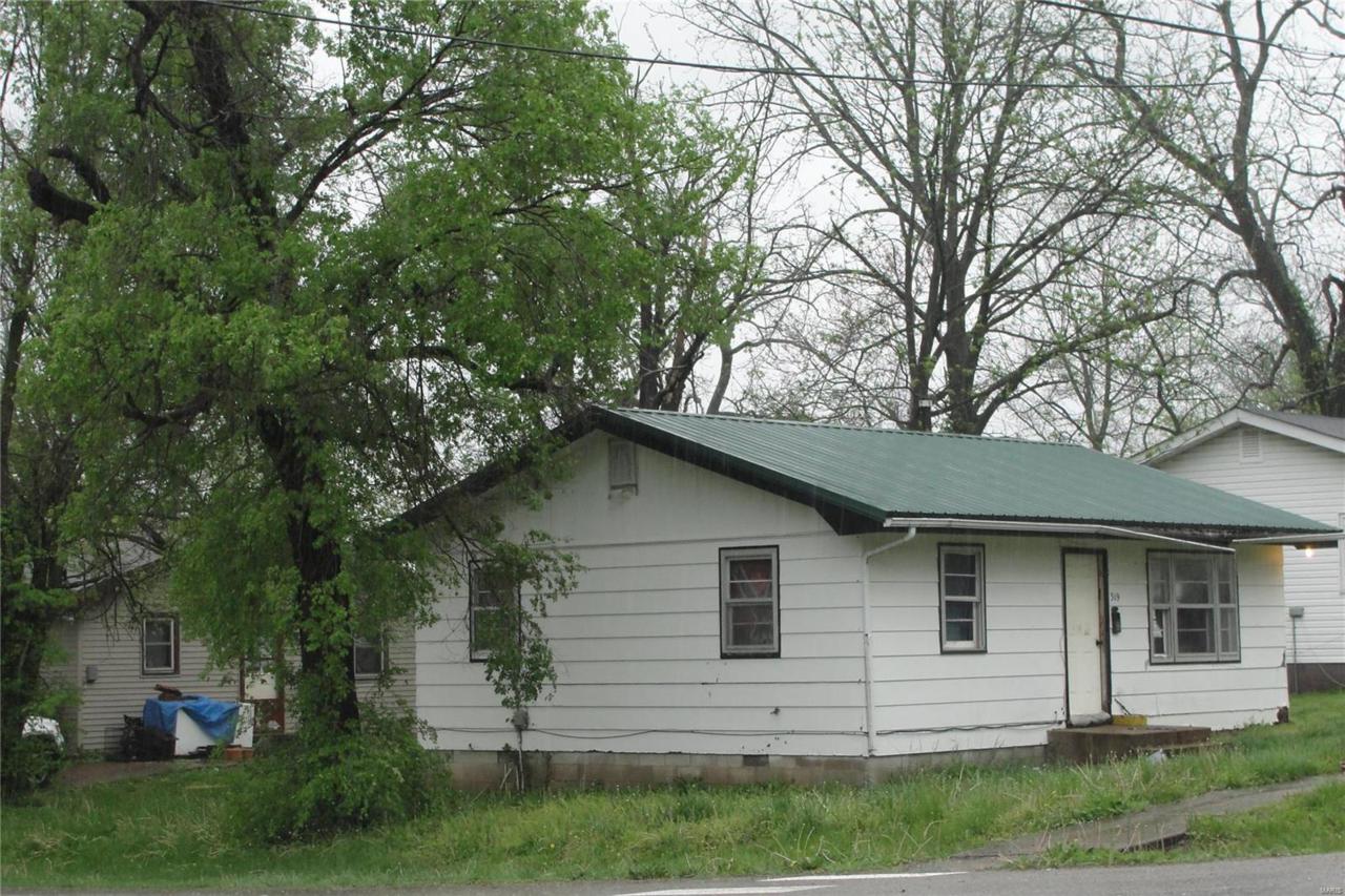 319 Chestnut Street - Photo 1