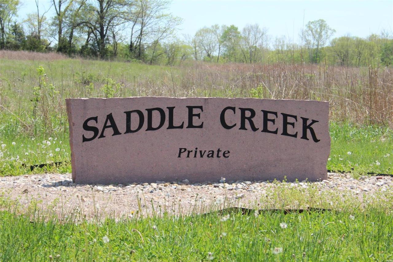 13474 Saddle Creek - Photo 1