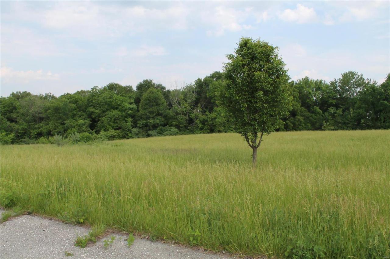 0 Countryside Estates Drive - Photo 1