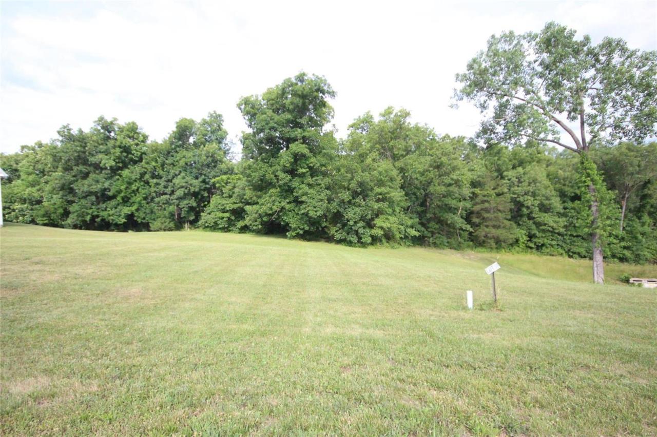 10 Shilling Oaks (Lot 10) Drive - Photo 1