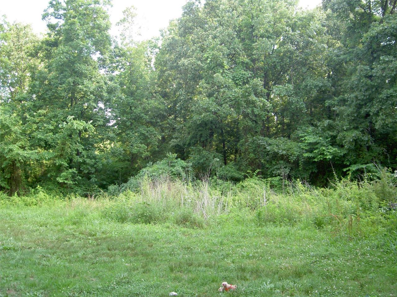 0 Rr 72 Box 2499 - Photo 1