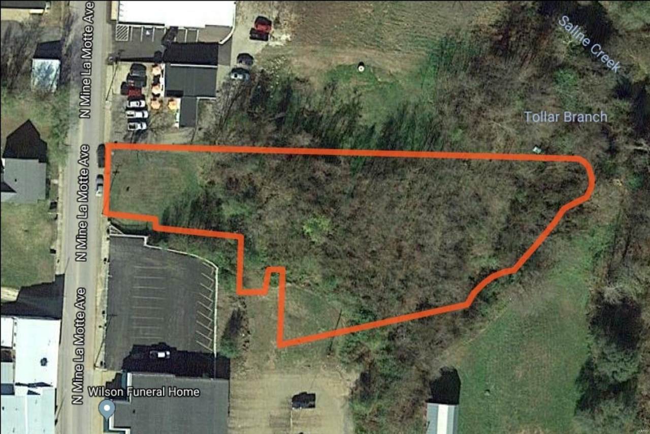 119 Mine Lamotte Avenue - Photo 1