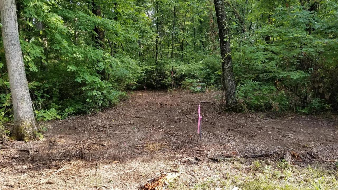 132 Jabin Farm Road - Photo 1