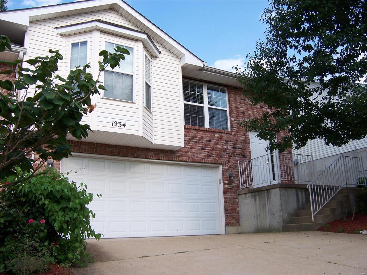 1234 Denali Drive - Photo 1
