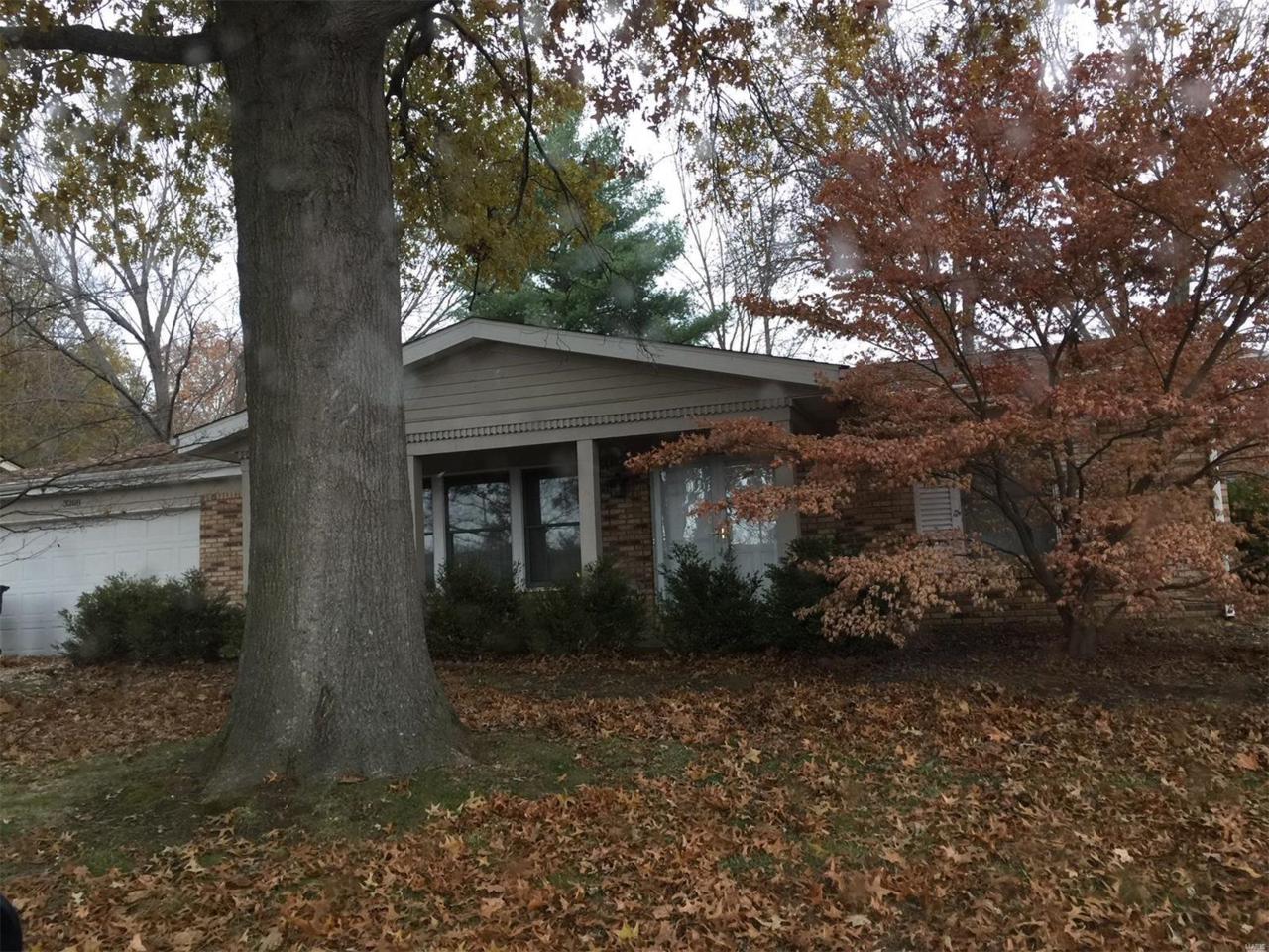 3208 Cedar Mountain Road - Photo 1