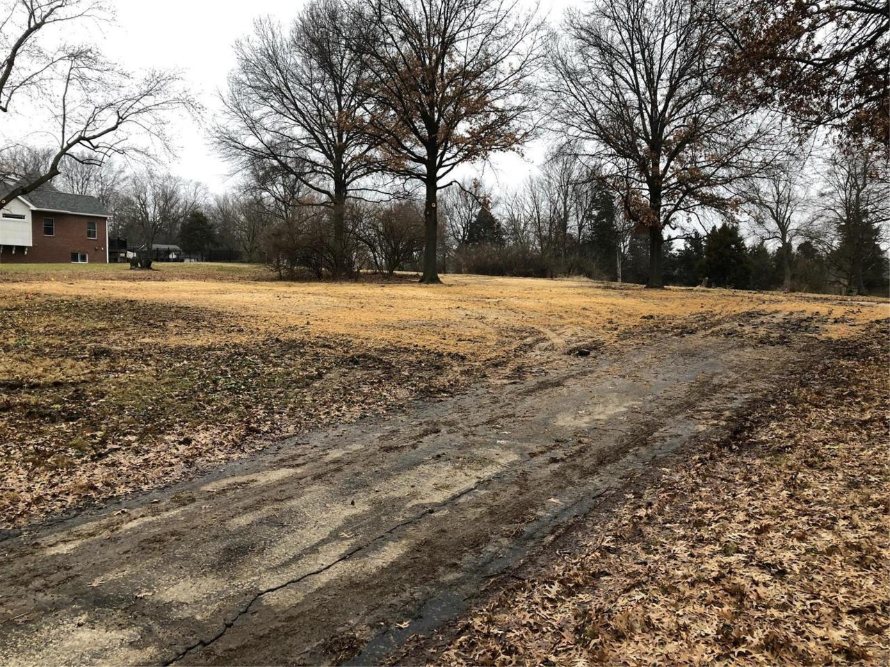 10311 Kennerly - Photo 1