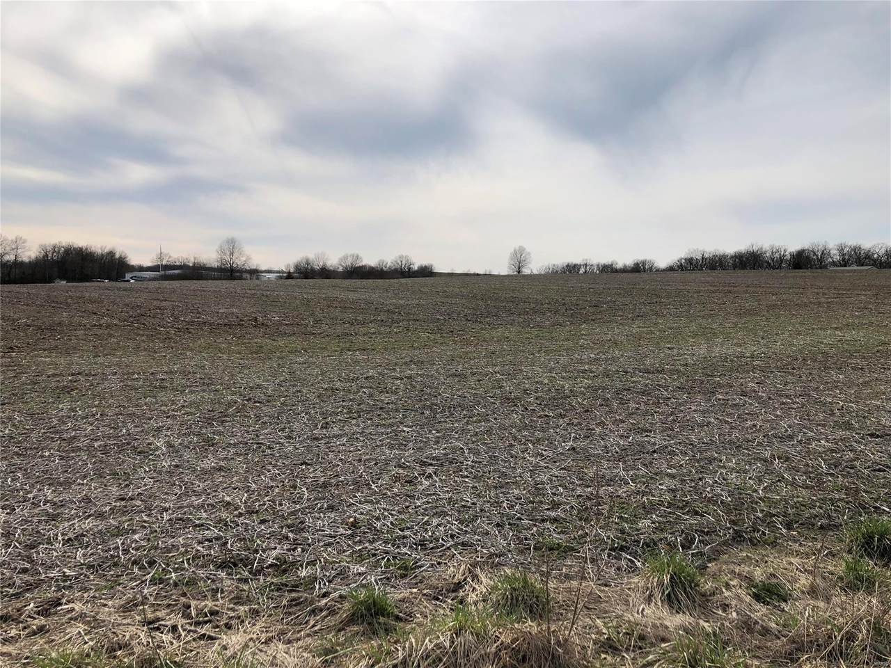 28 .664 Acres On W. Outer Hwy 61 - Photo 1