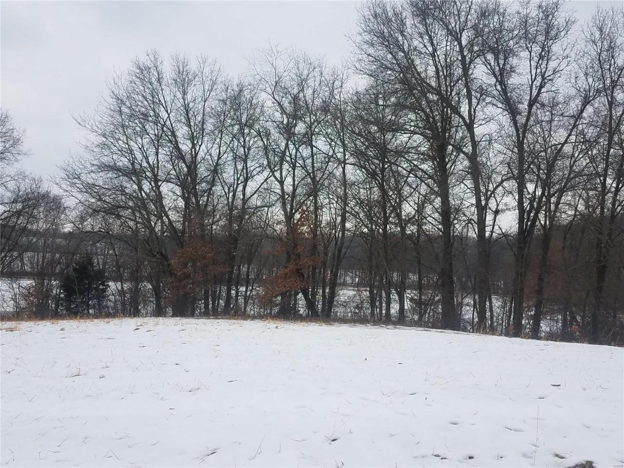 19 Parc Forest Trail - Photo 1