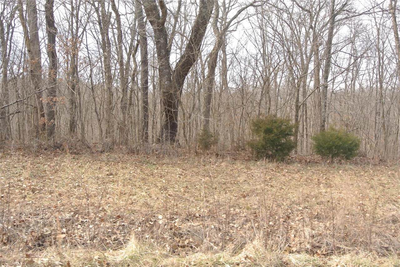 0 Lot 2 Tyler Branch Road - Photo 1