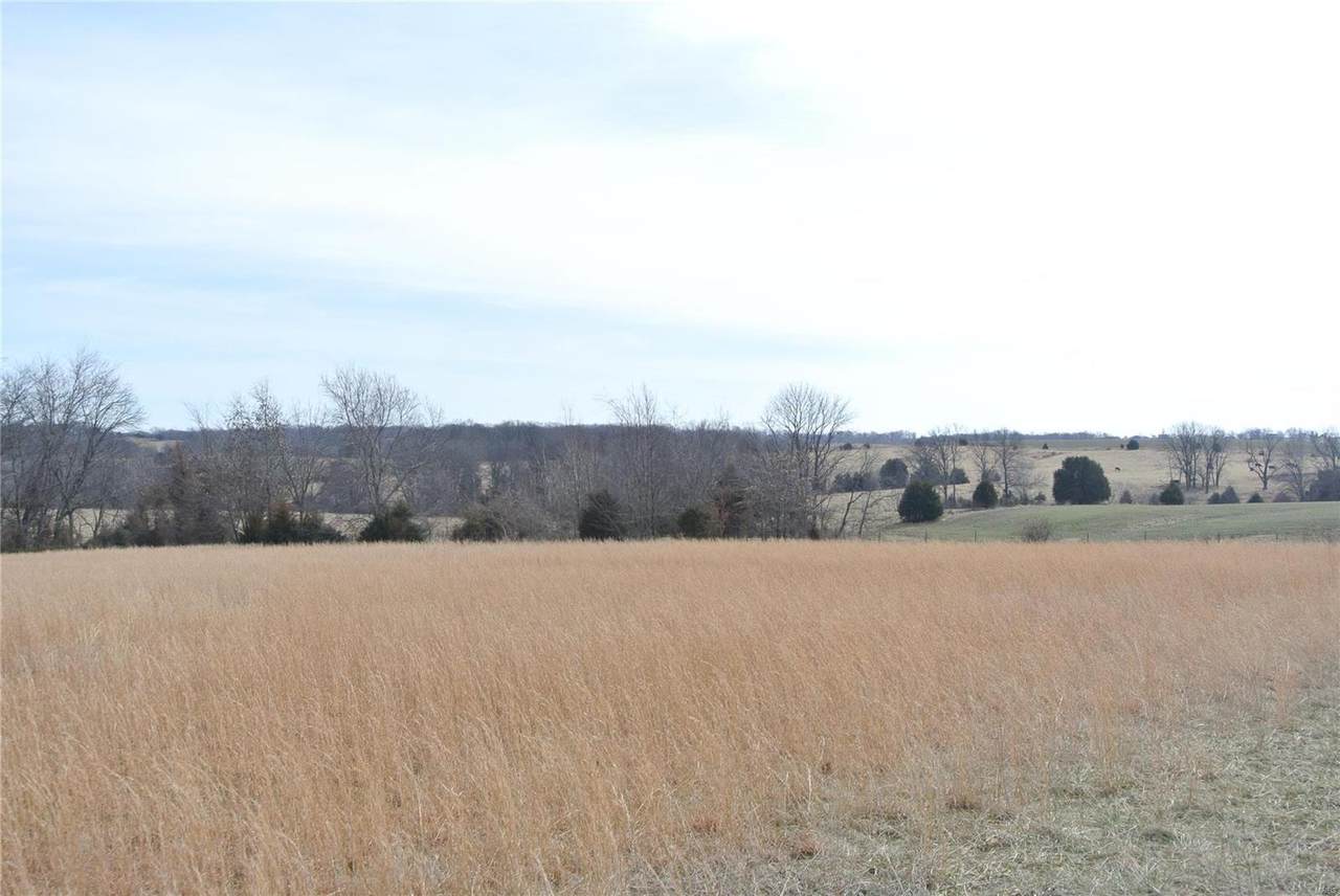 0 Lot 7 Deer Wood Drive - Photo 1