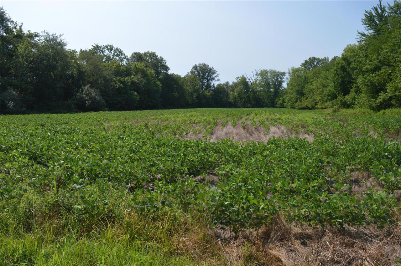 24000 E Halley Road - Photo 1
