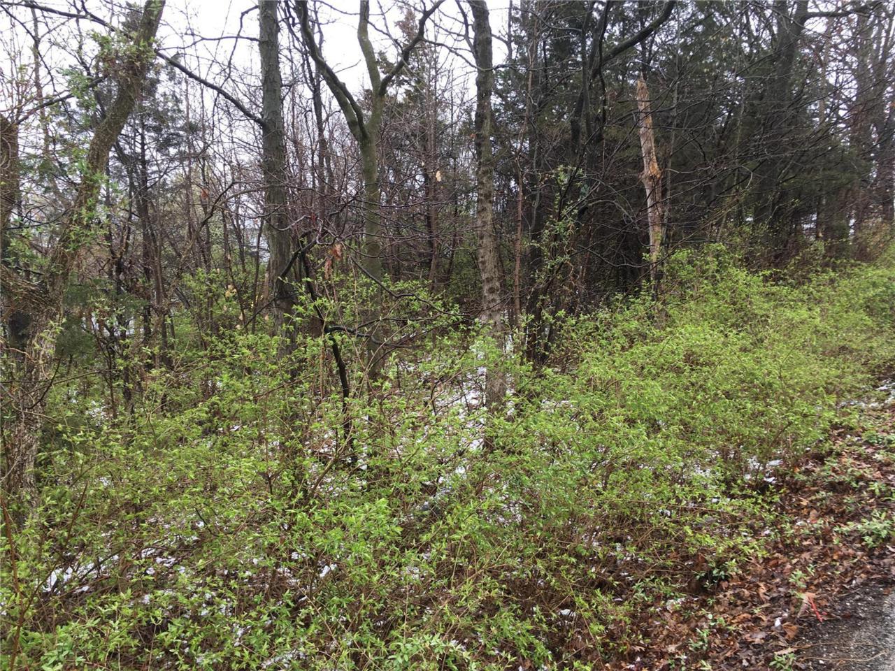 0 Hermitage Hills - Photo 1