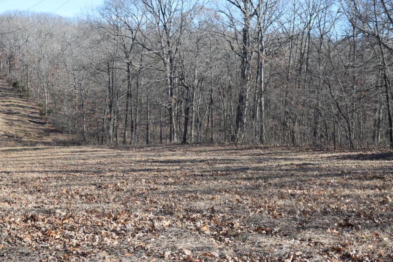 34 +/- Acres Prather Road - Photo 1 34 +/- Acres Prather Road - Photo 1