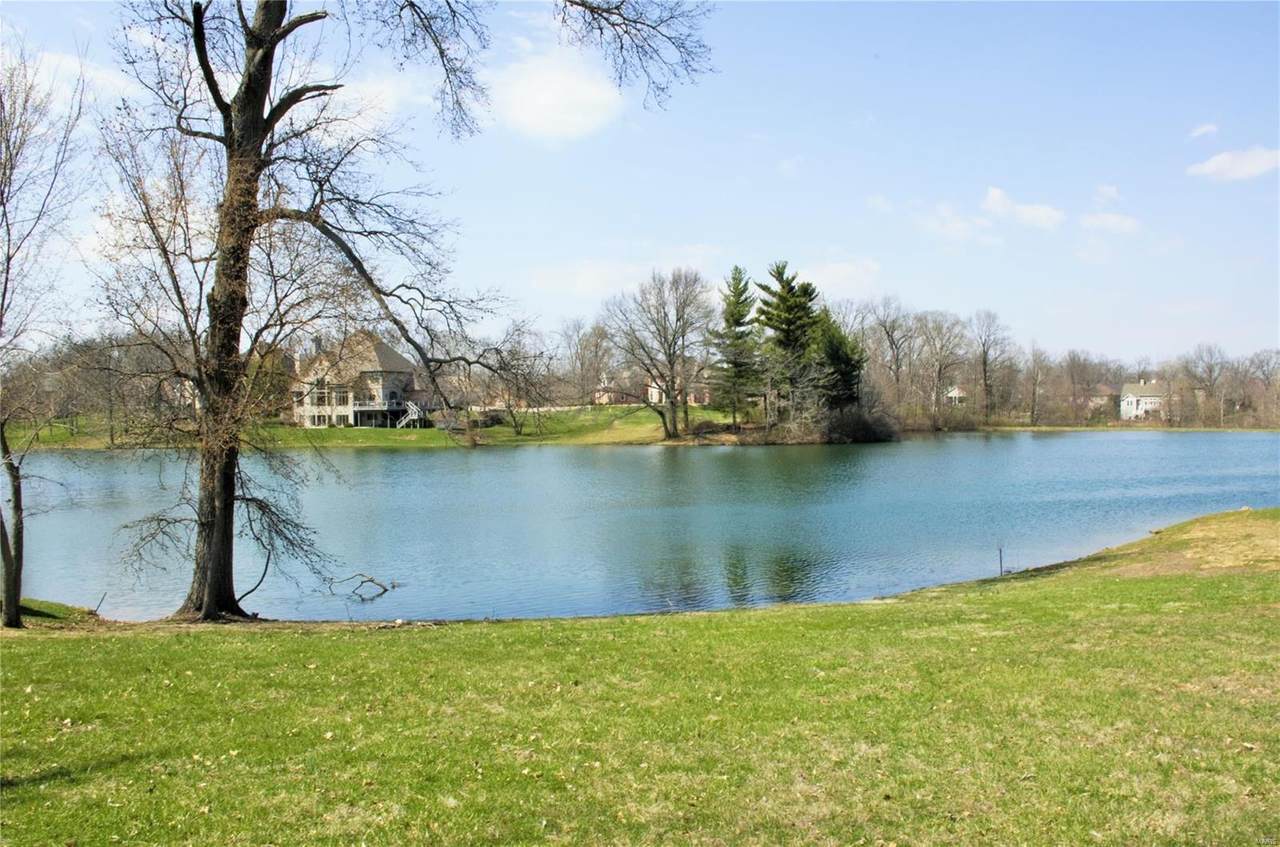 8609 Savoy Lane - Photo 1