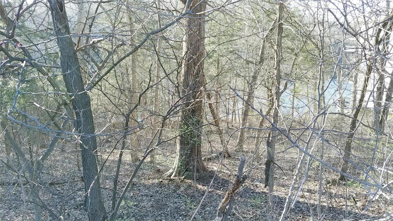 10073 Waterford Drive - Photo 1