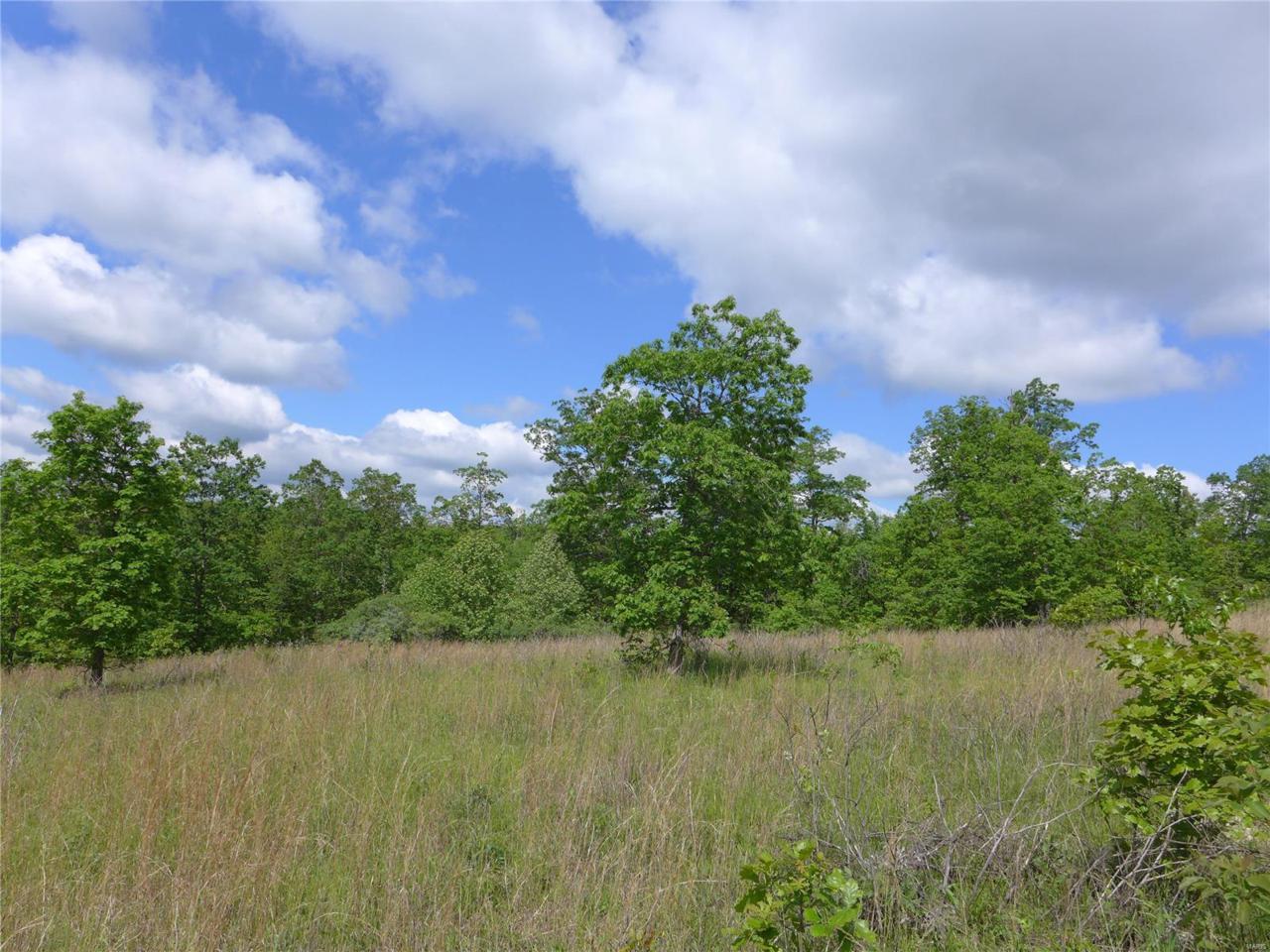 0 Whitetail Drive - Photo 1