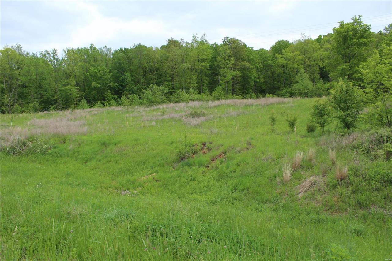 1 Hwy 67 - Photo 1