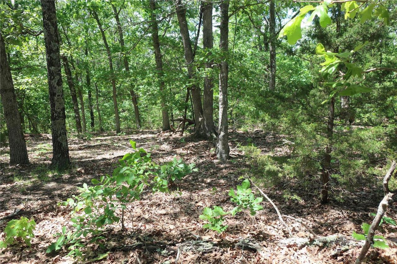 0 22.9 +/- Acres - Hwy 47 - Photo 1