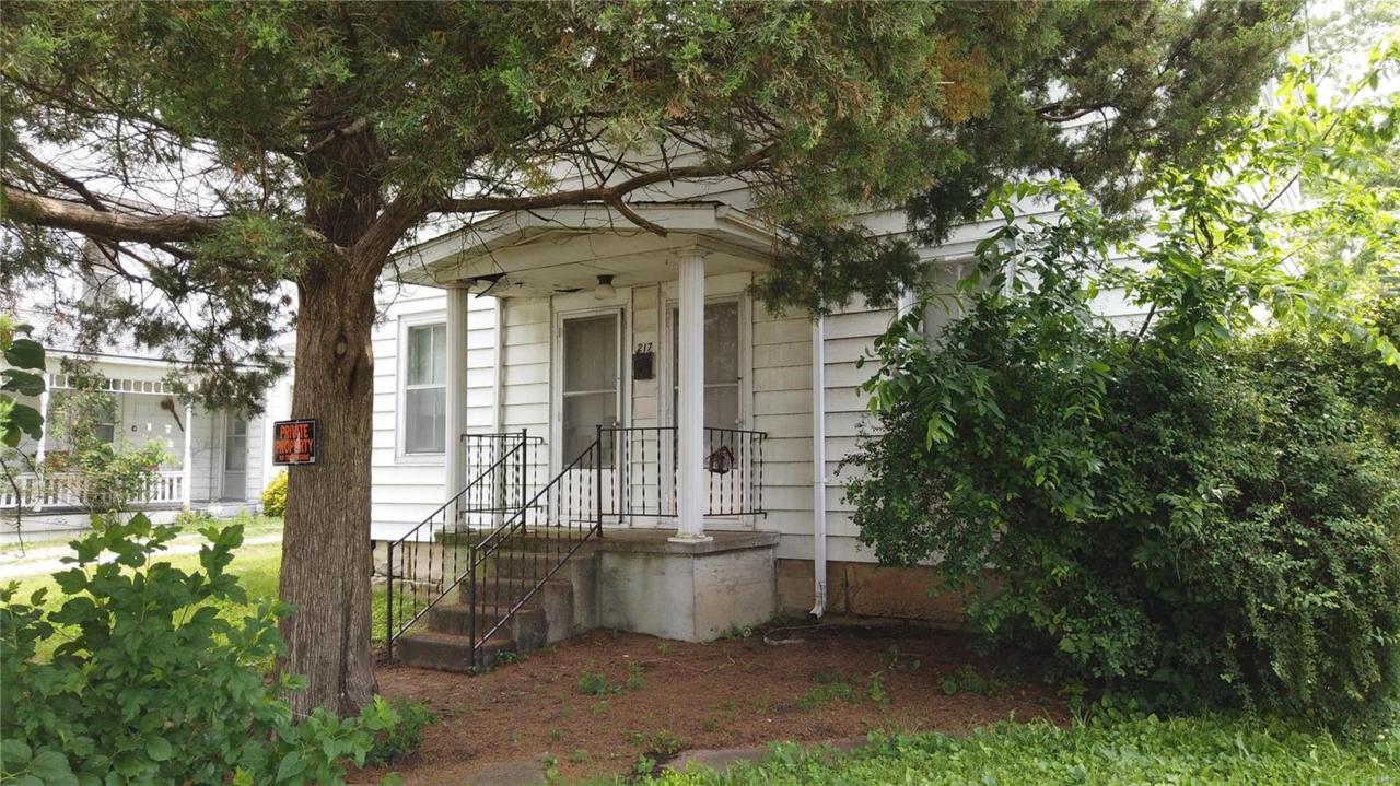 217 Walnut - Photo 1