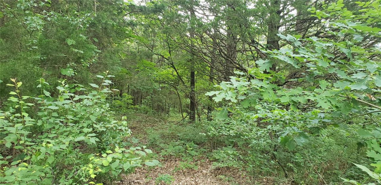 4499 Deer Run - Photo 1