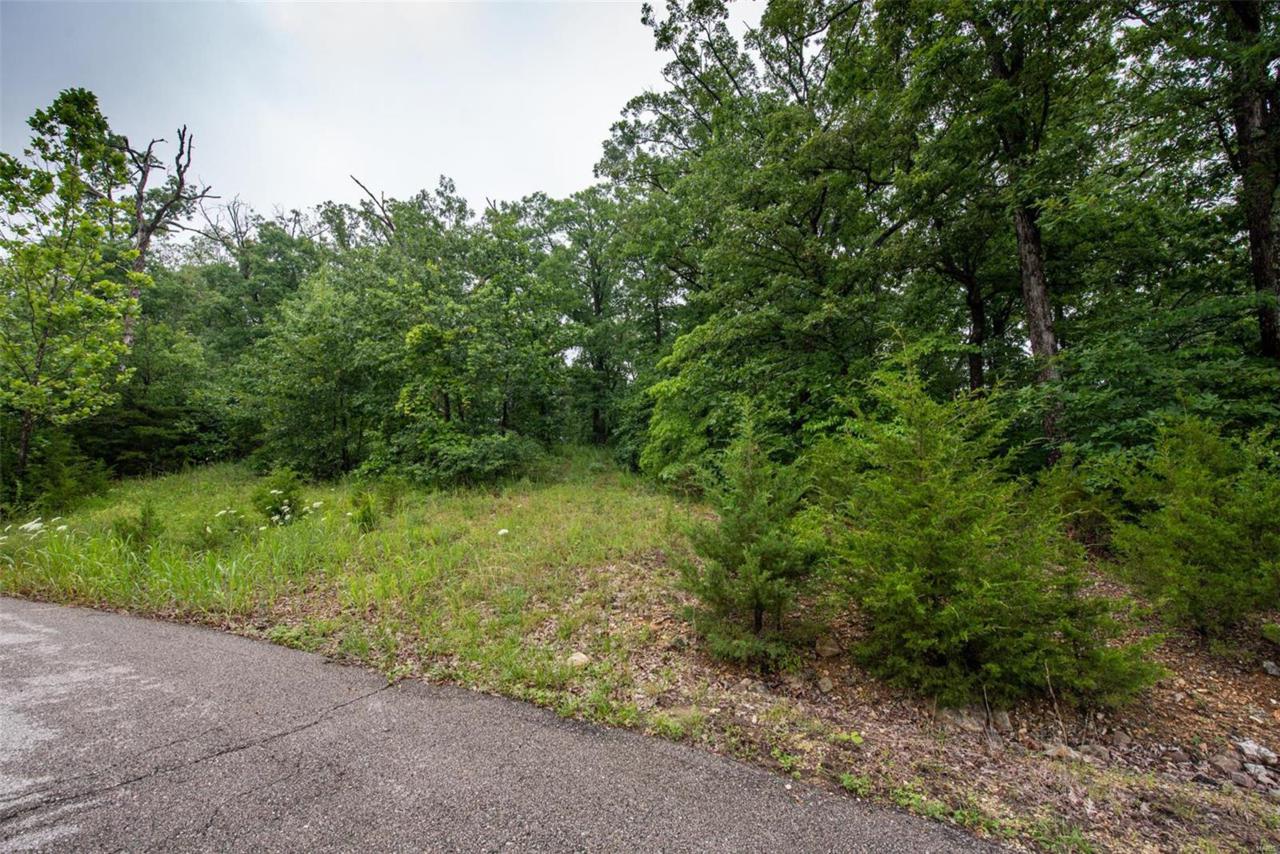 406 Mark Twain Loop - Photo 1