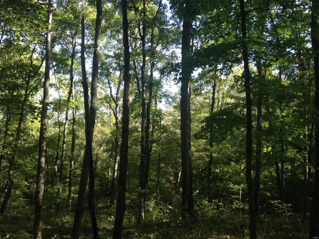 10 Wilderness Lane - Photo 1