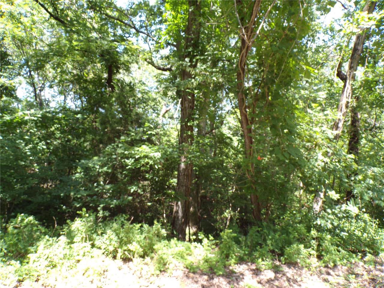 9581 Bent Tree - Photo 1