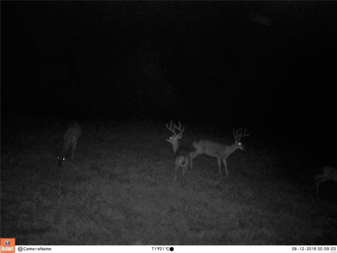 0 Tbd Cr 348 - Photo 1