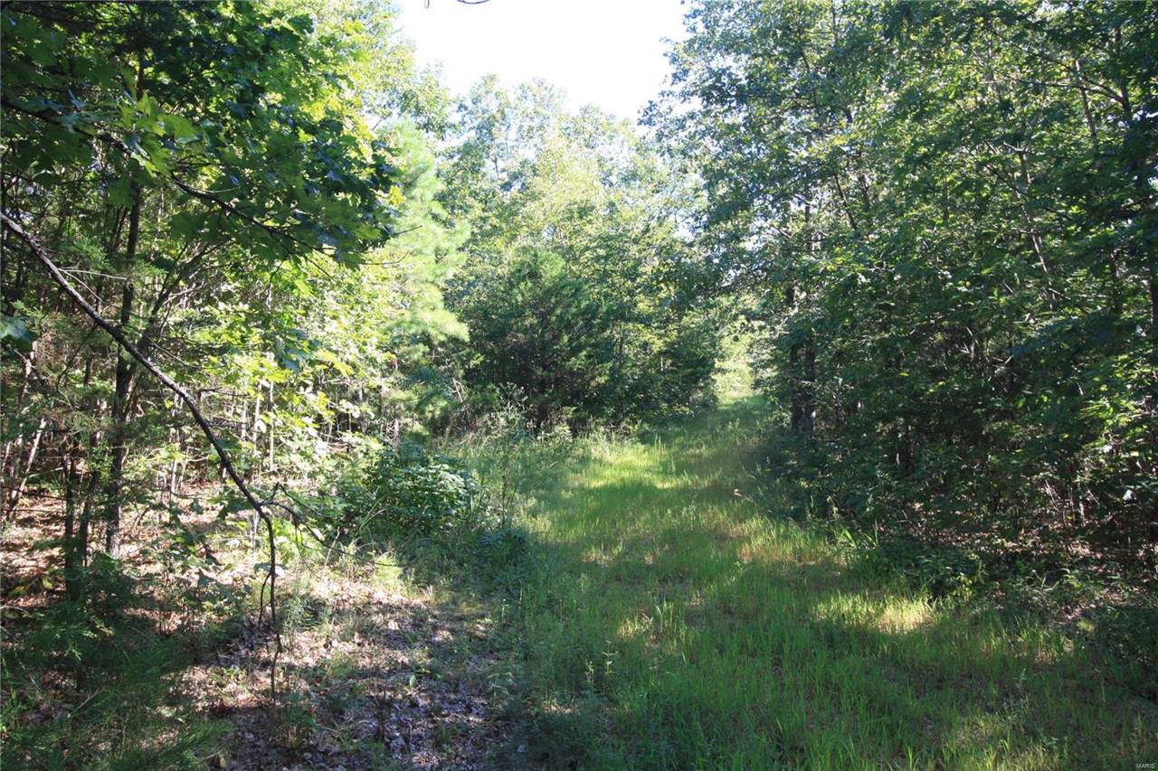 0 County Road 207 - Photo 1