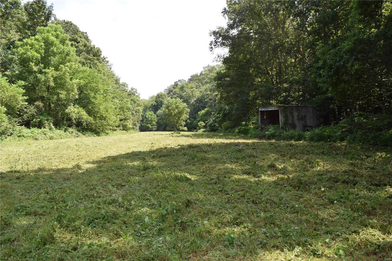 0 County Road 406 - Photo 1