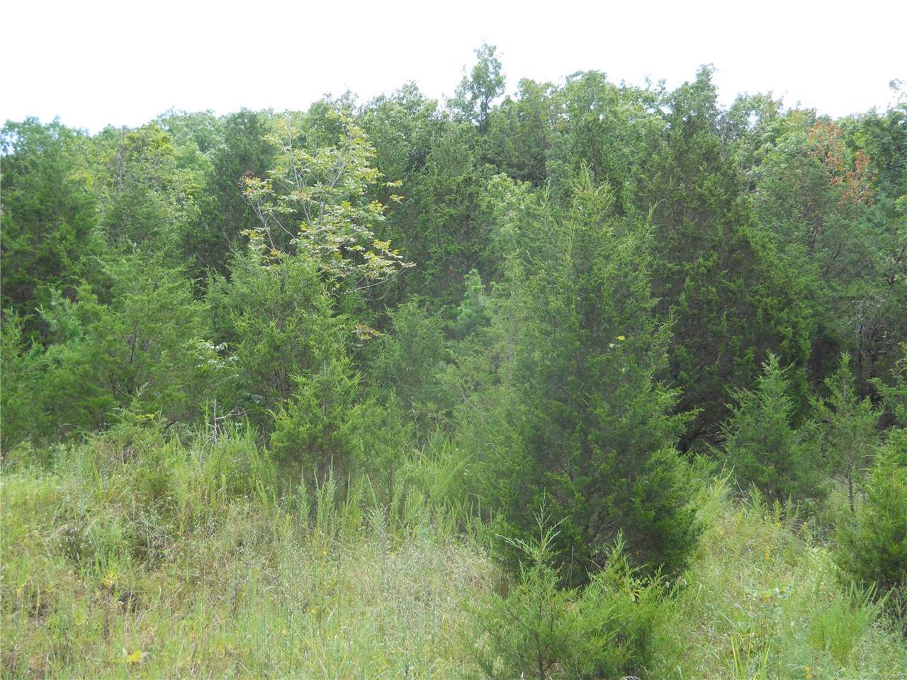 1 Bridle Trails - Photo 1