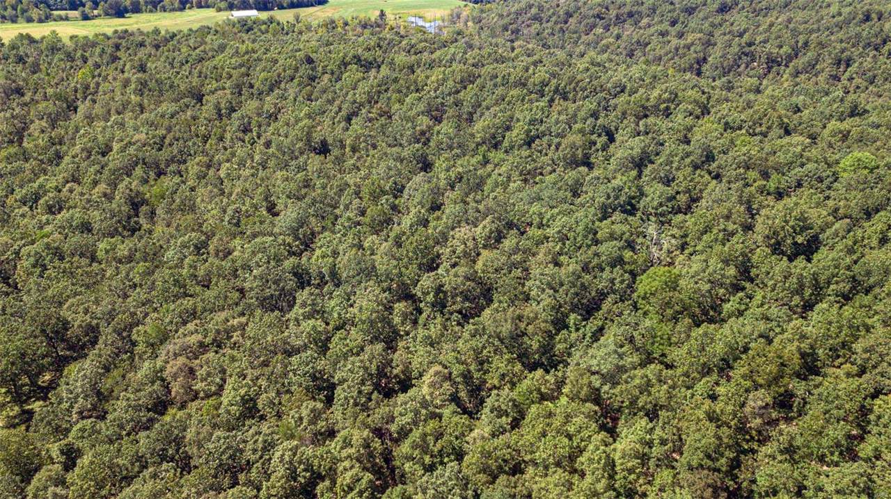 0 County Road 4611 - Photo 1