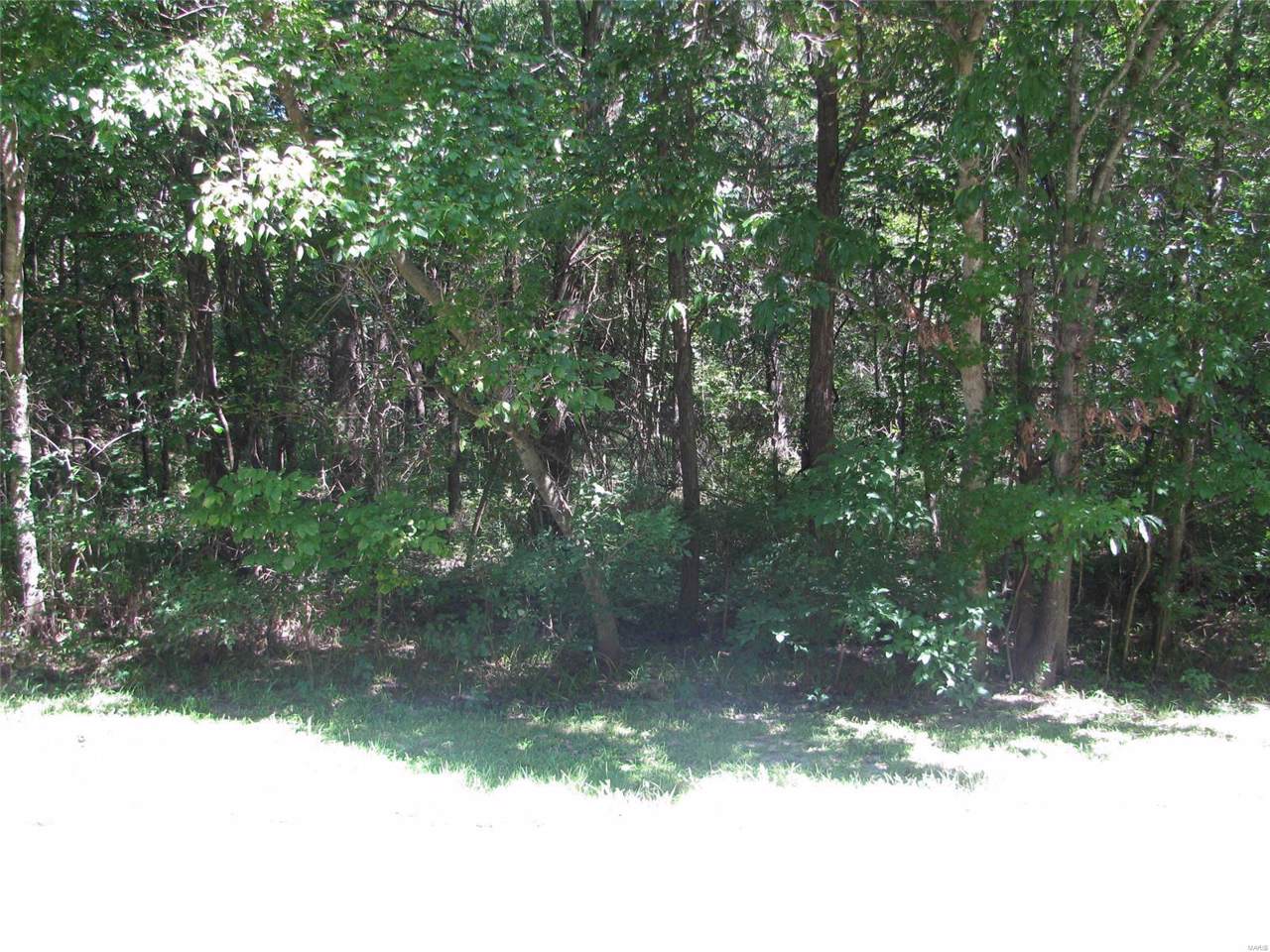 0 Health Department Road - Photo 1 0 Health Department Road - Photo 1