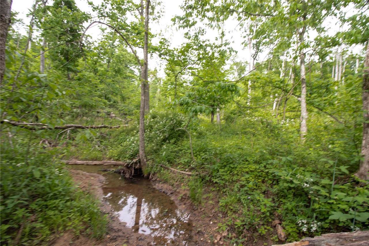 40 Copperhead Lane - Photo 1