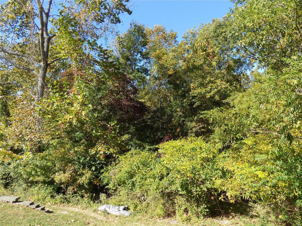 1745 Old Eatherton - Photo 1