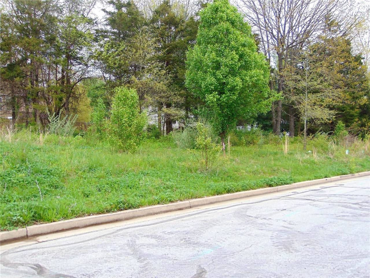 0 927 And 929 Brookside Lane - Photo 1