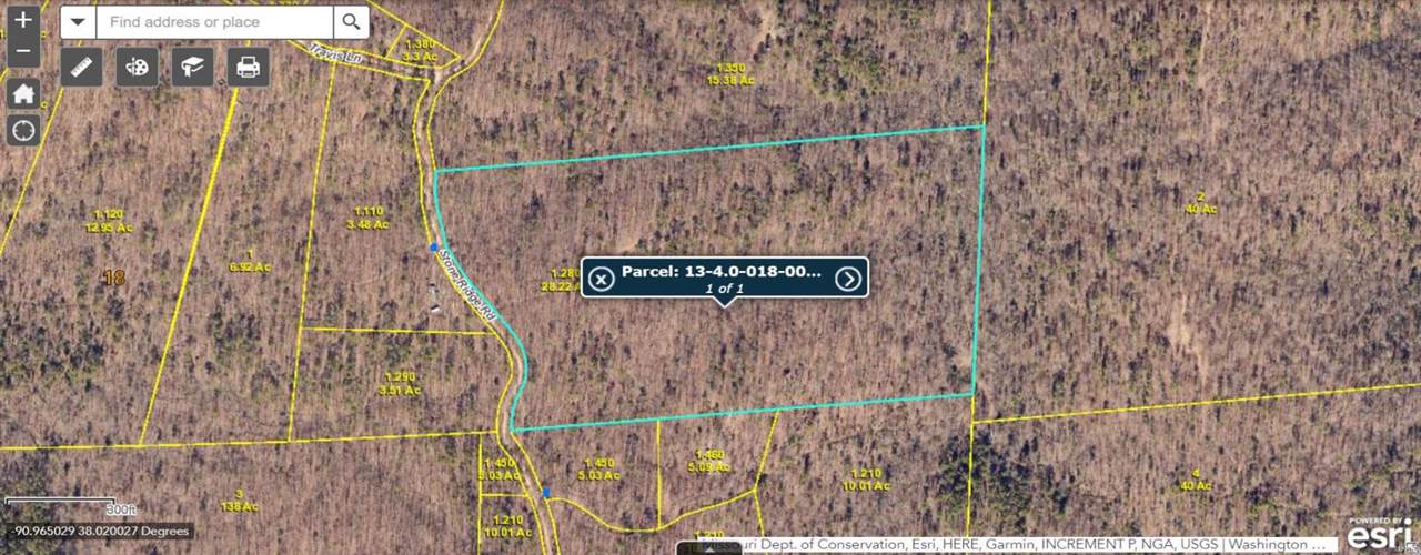 0 Stone Ridge Road - Photo 1