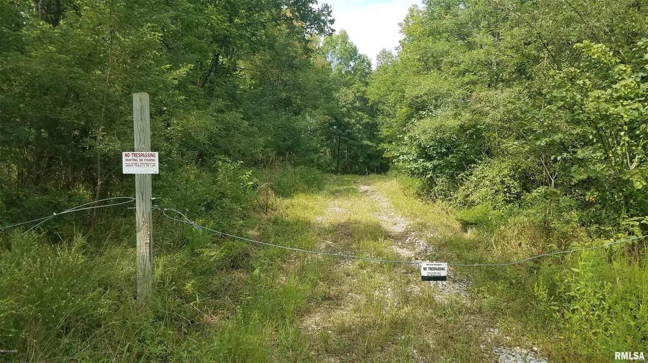 0 Buffalo Lick Road - Photo 1