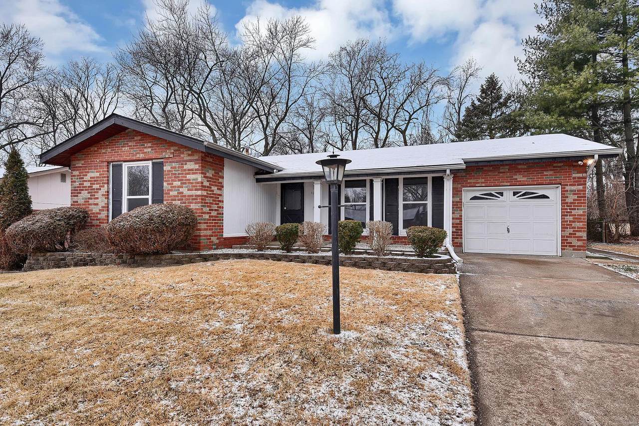 11835 Nero Drive - Photo 1