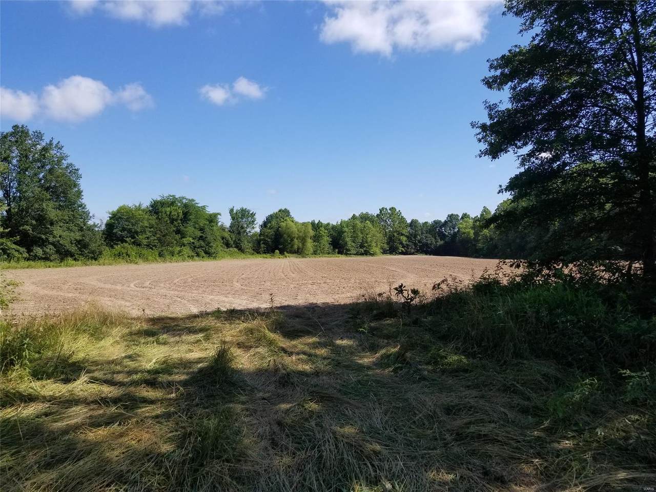 70 Cave Farm (53.75+/- Acres) - Photo 1