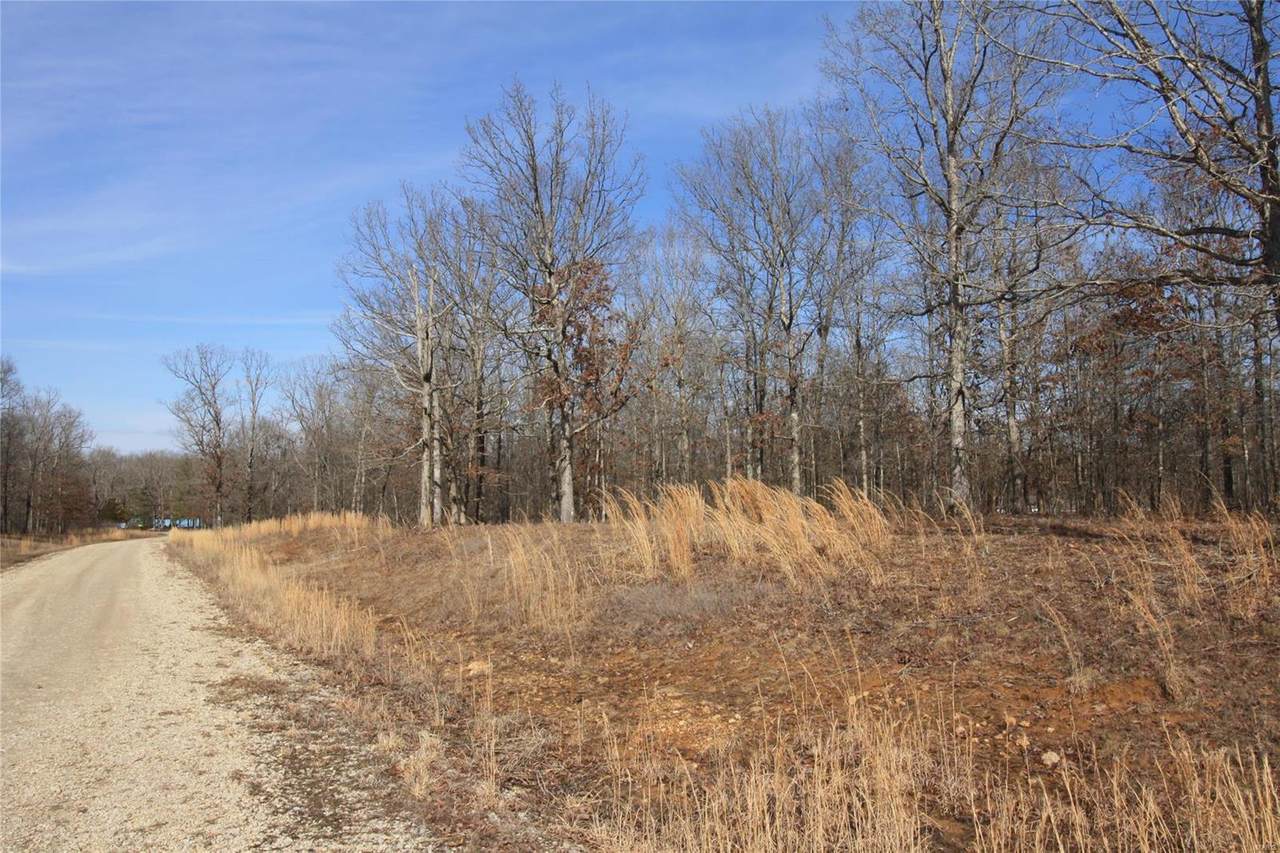 0 Lot 9 Holiday Hills Dev - Photo 1