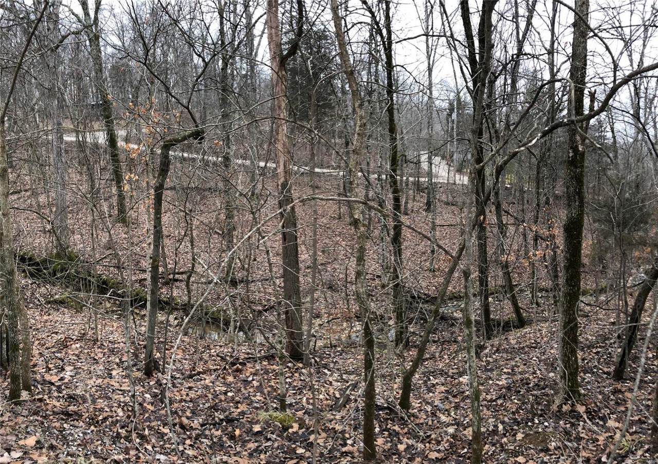 117 Skyline Drive - Photo 1
