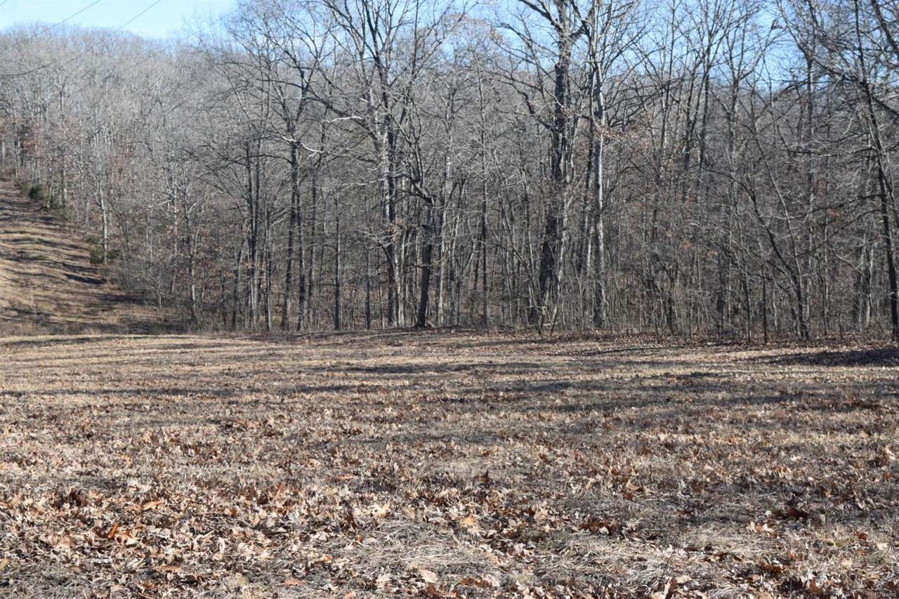 34 +/- Acres Prather Road - Photo 1 34 +/- Acres Prather Road - Photo 1